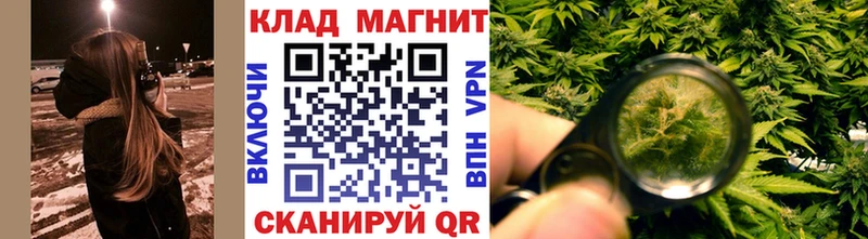 Купить закладку Каннабис  Амфетамин  ГАШ  Псилоцибиновые грибы  КОКАИН  МЕТАДОН  Мефедрон  Новотроицк