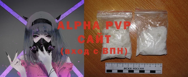 стаф Карпинск