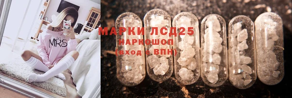 стаф Карпинск