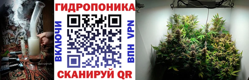 Купить закладки  Новотроицк  Каннабис план 